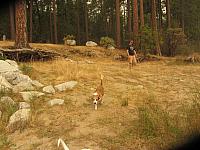 IMG 1455
