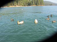 IMG 1470