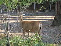 IMG 1473