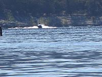 IMG 1479