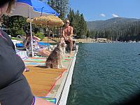 IMG 1509