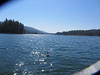 IMG 1510
