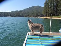 IMG 1512