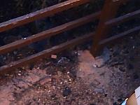 DSC00700