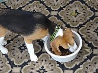 DSC00708