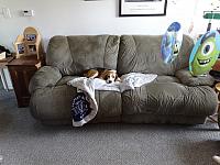 DSC00720