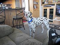 IMG 1237
