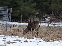 DSC00040