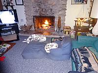 DSC00102 - Copy