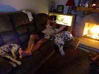 DSC00397
