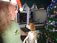 DSC01002