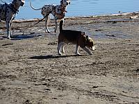 DSC01053