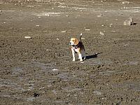 DSC01065