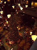 100_1179.JPG