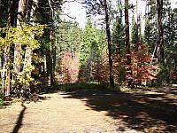 100_0331.JPG