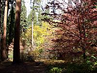 100_0335.JPG