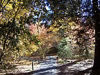 100_0336.JPG