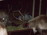 100_0463.JPG