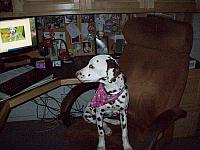 100_0491.JPG