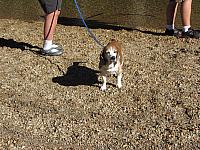 IMG_0321.JPG