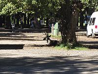 IMG_0333.JPG