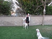 IMG_0339.JPG