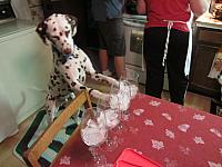 IMG_0368.JPG