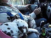 IMG_0380.JPG