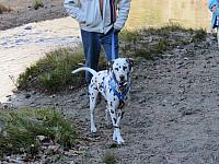 IMG_0399.JPG