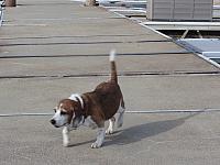 IMG_0444.JPG