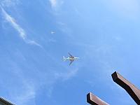 IMG_1009.JPG