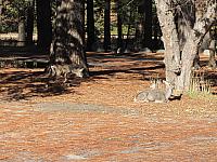 IMG_1071.JPG