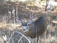 IMG_1076.JPG