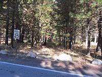 IMG_1077.JPG