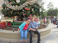 IMG 1136