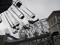 IMG 1146