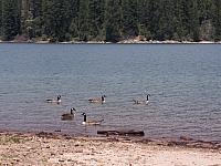 100_0130.JPG
