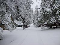 100_0730.JPG