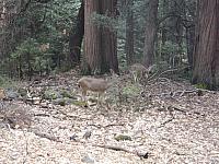 IMGP0017.JPG