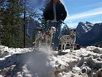 100_0650.JPG