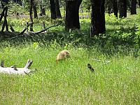 IMG_0056.JPG