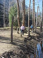 IMG_0741.jpg