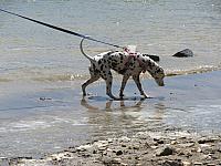IMG_0813.JPG