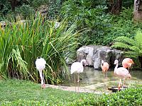 100_0423.JPG