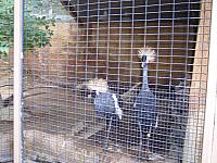 100_0424.JPG