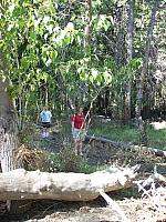 103_0081.JPG