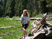 103_0154.JPG