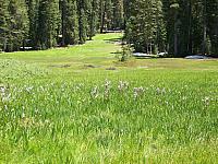 103_0160.JPG