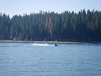 IMGP0081.JPG