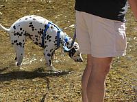 IMG_0852.JPG